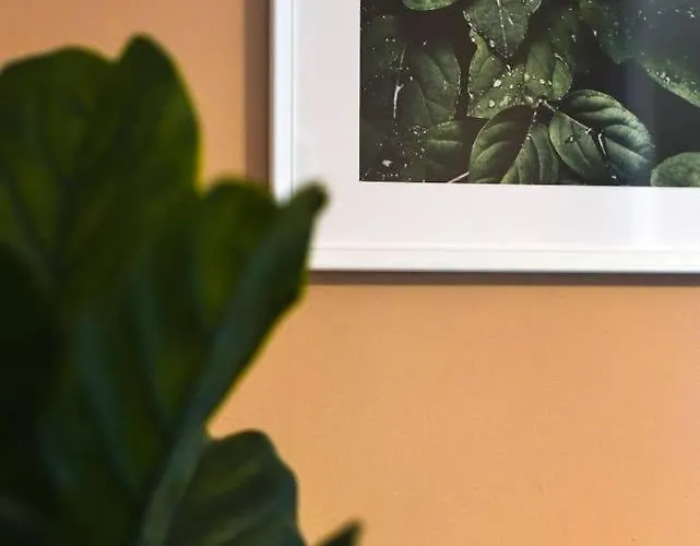 Very Very Spacious New *