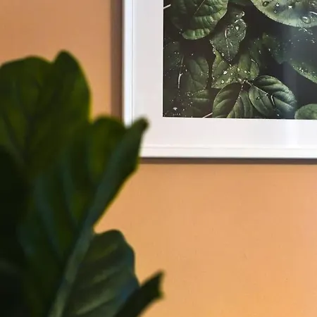 Very Very Spacious New *