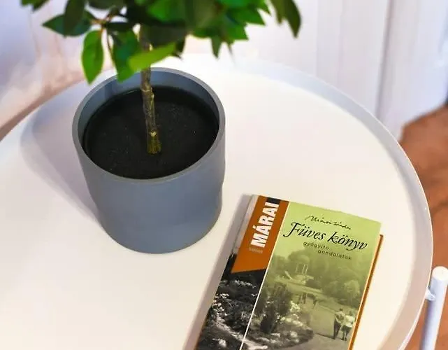 Apartment Very Very Spacious New Budapest